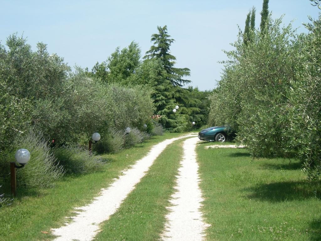 Bed and Breakfast Vista Assisi Esterno foto