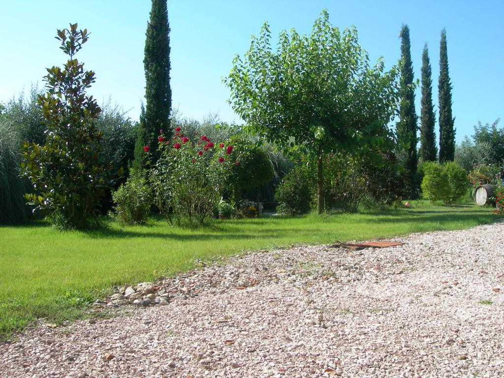 Bed and Breakfast Vista Assisi Esterno foto