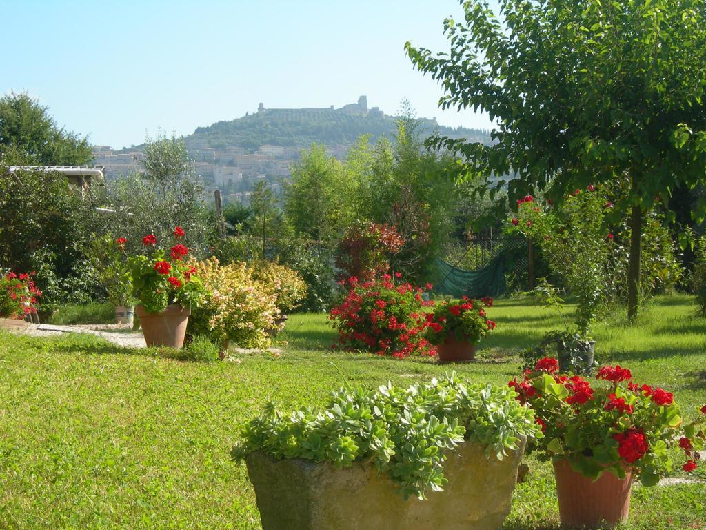 Vista Assisi Hotel Esterno foto